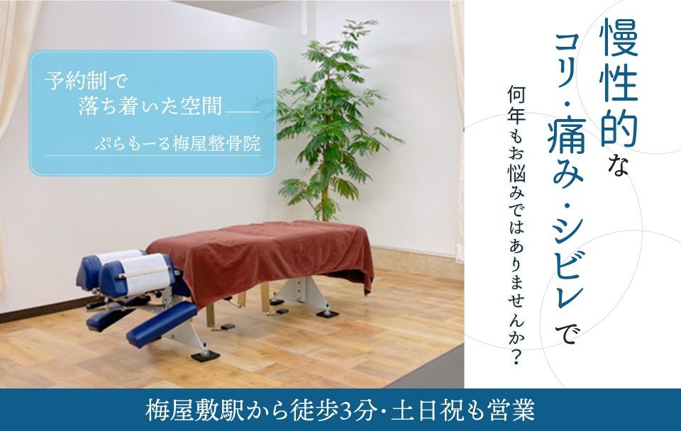 初回価格